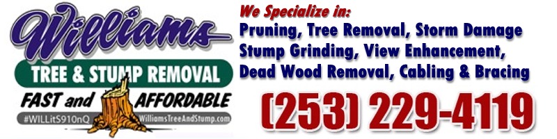 Williams Tree & Stump Removal